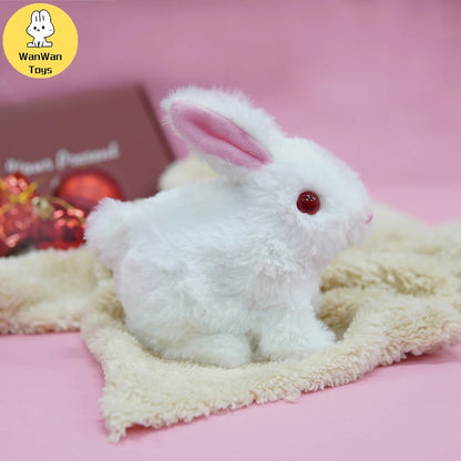 Squeaky Cute Walking Bunny